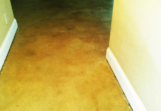 Terrazzo Floor Polish Miami