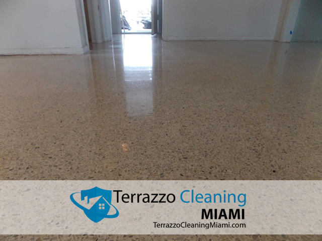 Terrazzo Floor Restored Miami